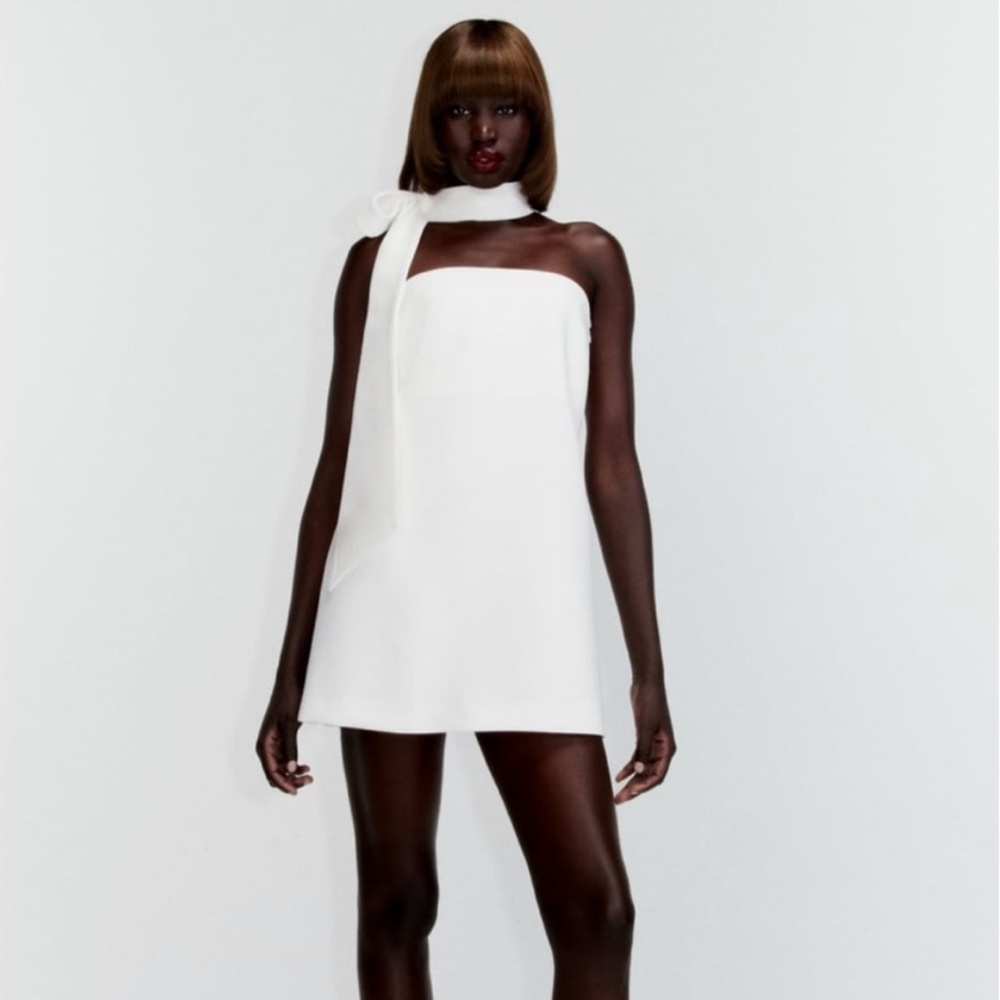 Zara Mini Dress with Neck Scarf